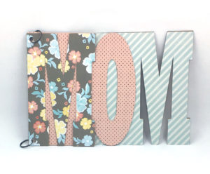Mom Mini Album 0418