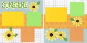 Sunshine 0824