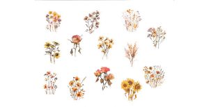 Dried Flowers Stickers