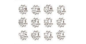 Baby Months Journal Cutouts 0526