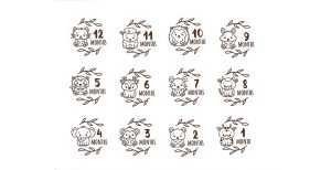 Baby Months Journal Cutouts 0526