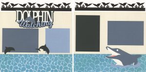 Dolphin Watching 0626