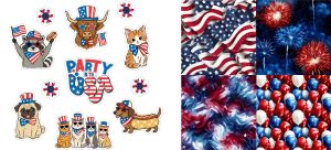 Party In The USA Journal Set 0726