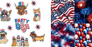 Party In The USA Journal Set 0726